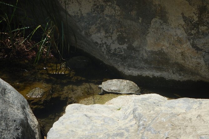 Private River Trekking and Gorge Walking Adventure in Crete - Experiencing the Venetian Bridge