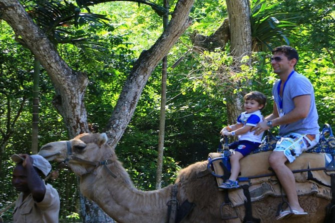 Private Round Trip Transfer to YAAMAN Adventure Park Ocho Rios - Frequently Asked Questions