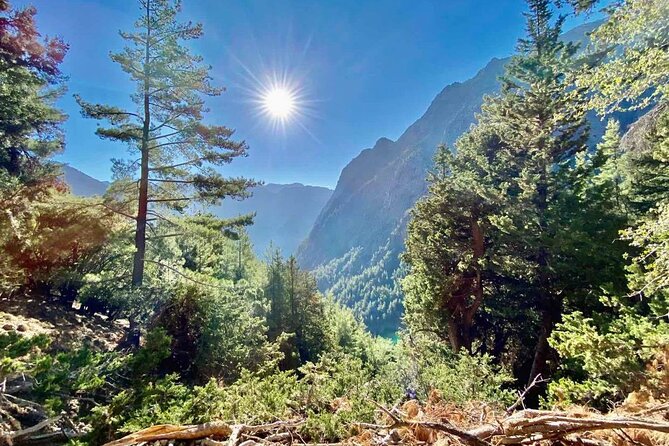 Private Roundtrip Transfer From Chania to Samaria Gorge Park - Duration and Itinerary Details