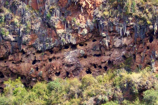 Private Sacred Valley Tour Including Buffet Lunch - About the Operator