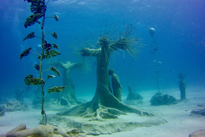 Private Scuba Dive / Try Dive at Musan Underwater Park - Cancellation Policy and Flexibility