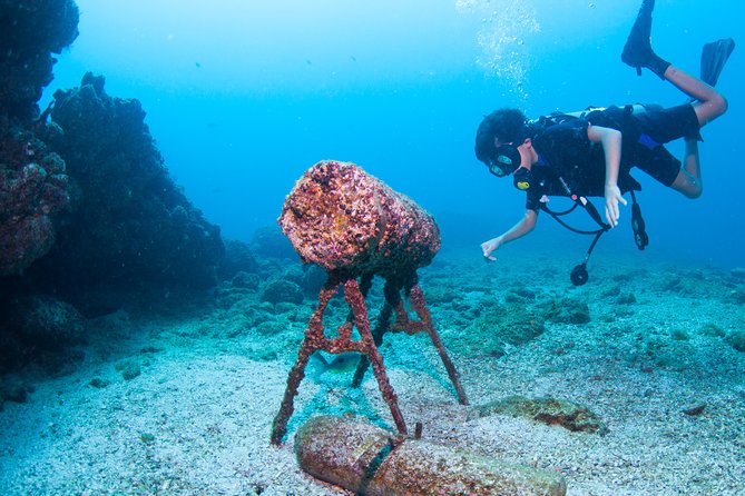 Private Scuba Diving Puerto Vallarta Undersea - Frequently Asked Questions