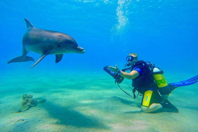 Private Scuba Diving Tour With Transportation and Guide - Preparing for an Unforgettable Scuba Adventure