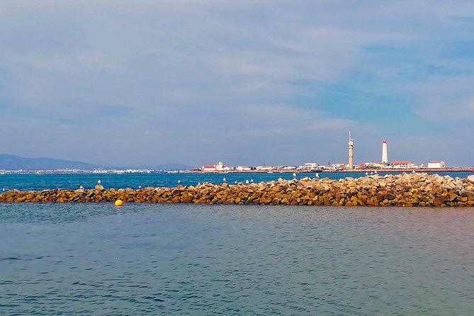 Private Sightseeing Boat Tour in Ria Formosa at Olhão - Highlights and Attractions