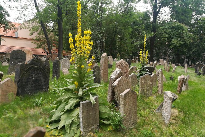 Private Stories of Jewish Prague Walking Tour - Traveler Reviews and Ratings