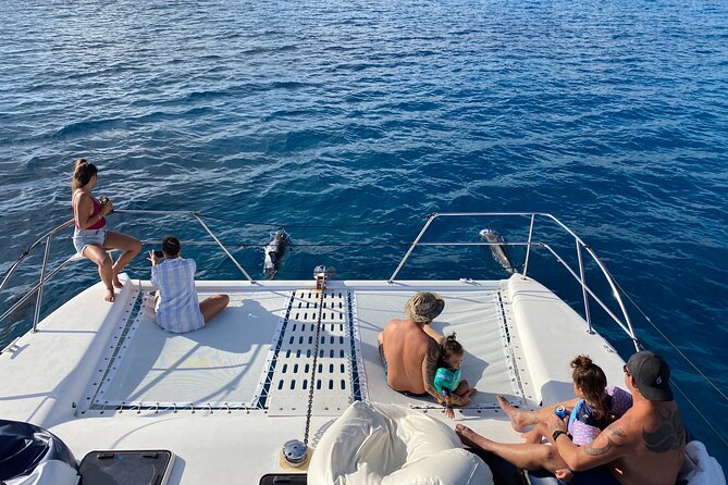 Private Sunset Catamaran Cruise in Waikiki - Booking and Planning Your Tour
