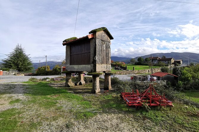 Private & Taylor Made Experience in Gerês National Park - Since You Asked