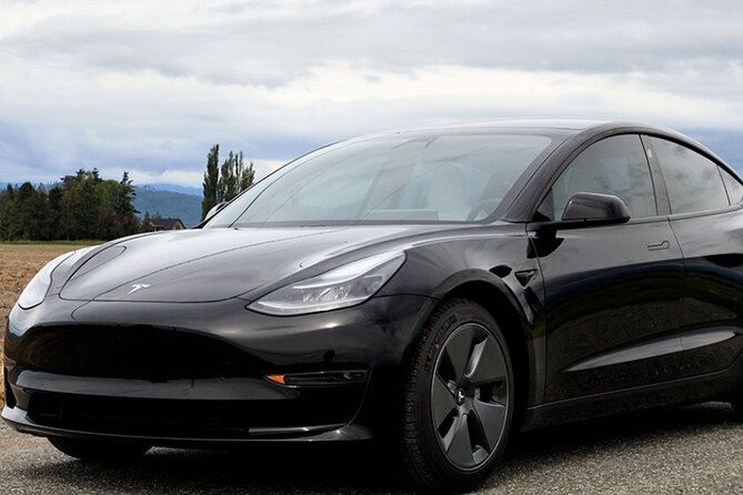 Private Tesla Transfer From Phoenix Airport to All Hotels - Sum Up