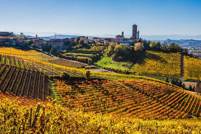 Private Tour: Barolo Wine Tasting in Langhe Area From Torino - Wine Tasting and Vineyard Visits