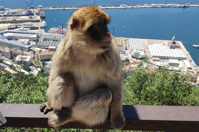 Private Tour: Day Through Gibraltar and Morocco, Tangier From Seville - Considerations