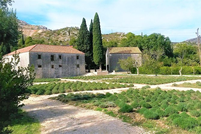 Private Tour Experience Dubrovnik Best Of Serene Views & Tales - Uncovering Historical Tales