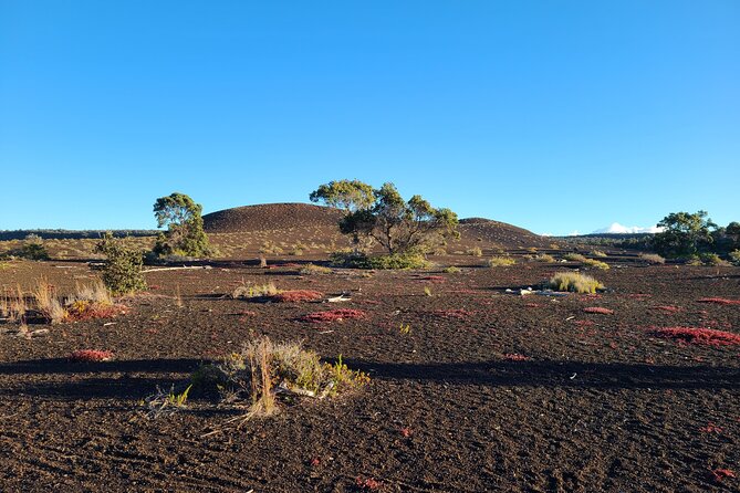 Private Tour of Hawaii Volcanoes National Park - Rave Reviews From Travelers