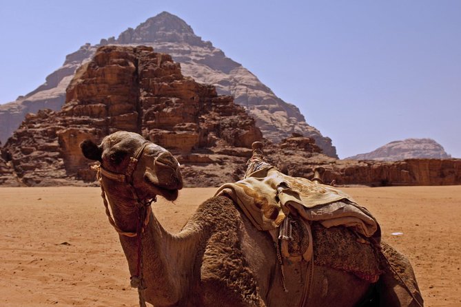 Private Tour of Wadi Rum Star Wars From Aqaba - Visiting a Bedouin Tent