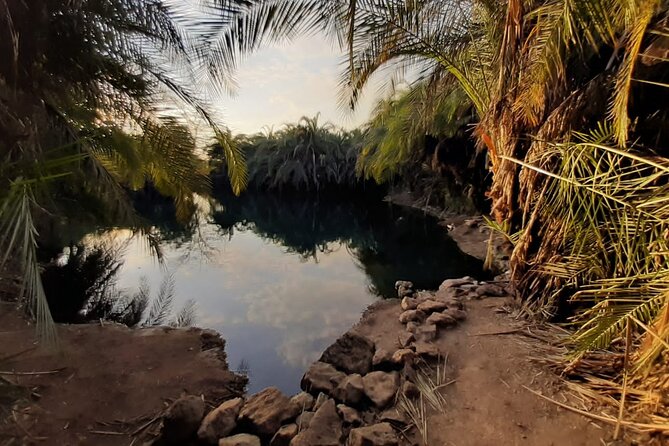 Private Tour to Materuni Waterfalls, Coffee Tour & Kikuletwa Hot- Springs - Pricing and Guarantees