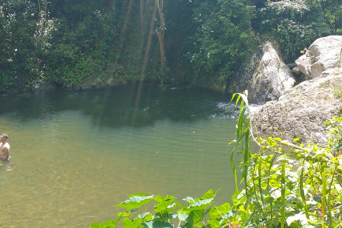 Private Tour to Pristine Swimming Hole In Puerto Rico Jungle - Safety and Precautions
