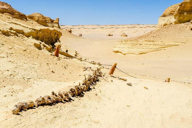Private Tour to Whales Valley & Wadi El Rayan Waterfalls in El Fayoum From Cairo - Tips for Travelers