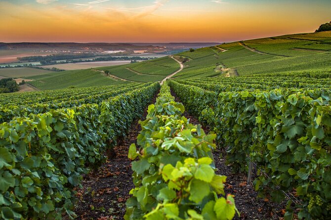 Private Transfer: Reims / Champagne to Paris Airport CDG by Van - Booking and Confirmation