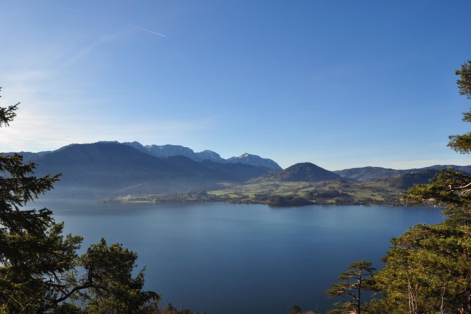 Private Transfer: Salzburg to Vienna - Additional Information