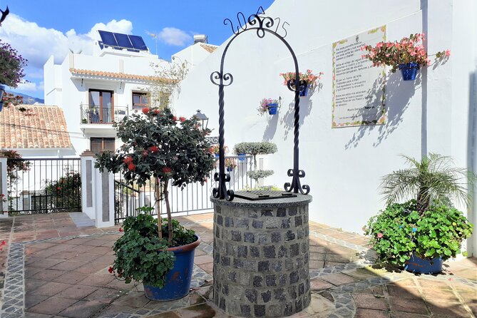 Private Trip in Gibraltar and Estepona From Marbella - Exploring Historical Insights in Gibraltar
