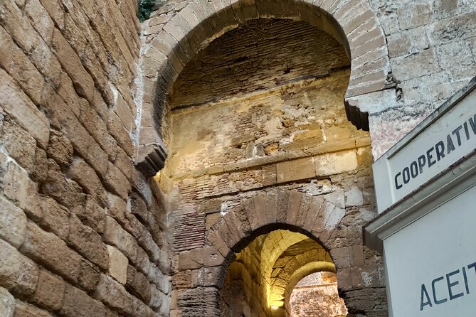 Private Trip to Carmona From Seville: 5000 Years of History - Testimonials