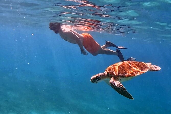 Private Turtle Spotting Snorkeling Excursion in Aruba - Convenient Photos and Videos Included