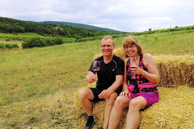 Private Vienna Woods Wine Tour - Guided Hike and Lunch