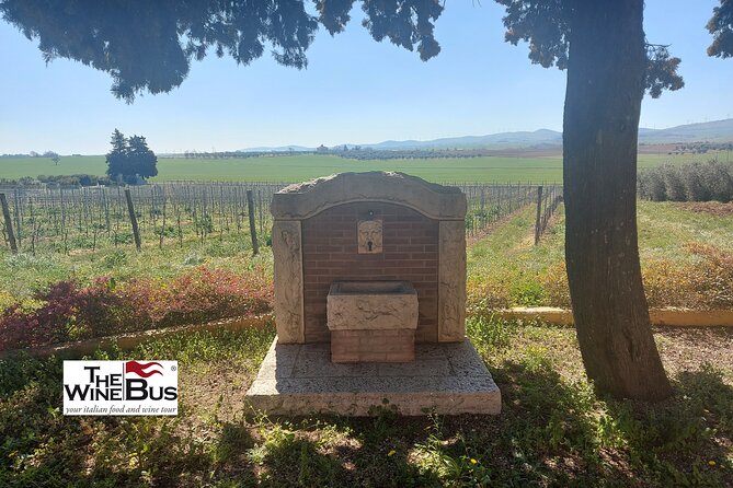 Private Vulture Wine Tour From MATERA With Sommelier - Exploring Vulture Wine Country