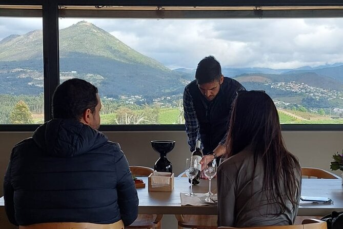 Private Wine Experience in Rota Do Vinho Verde With Lunch - Highlights and Recommendations