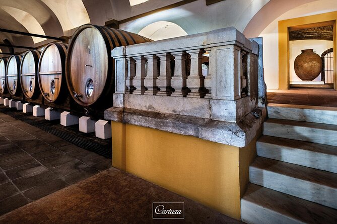 Private Wine & Food Tour in Alentejo - Booking and Cancellation
