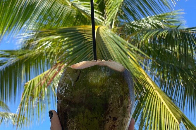 Puerto Rico Hidden Spring Swim and Beach Snorkeling Tour - Exploring the Hidden Spring