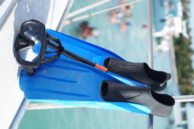 Punta Cana Catamaran Cruise and Snorkeling Adventure - Reviews and Feedback