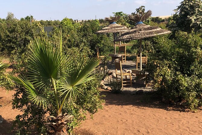 Quad Biking and Sandboarding on Sand Dunes Wild Beach - Thrilling Quad Biking Adventure