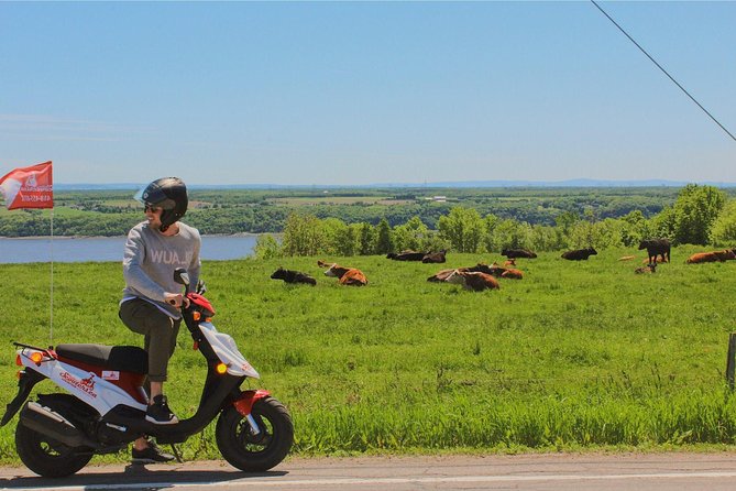 Quebec City - Scooter Rental on Ile D'Orléans - Traveler Feedback and Experiences