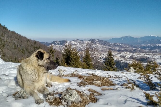 Rambling in Transylvania - Additional Information