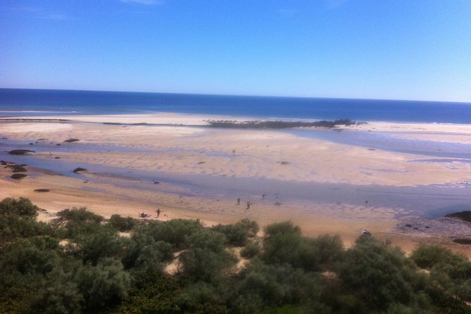 Ria Formosa Natural Reserve Park Day Trip From Albufeira - Frequently Asked Questions
