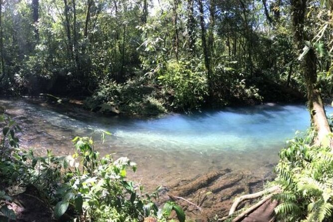 Rio Celeste Tour: Hiking, Sloth Sanctuary & Llanos De Cortes Waterfall (Private) - Pricing and Cancellation Policy