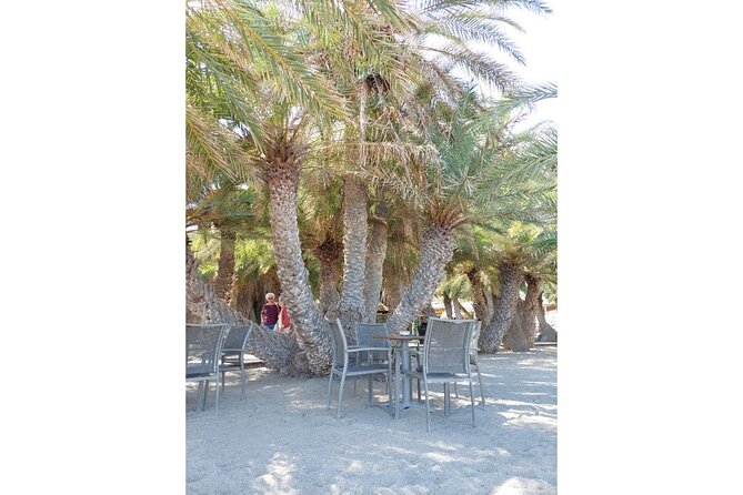 RIVIERA - Vai Palm Beach, Toplou Monastery - Sum Up