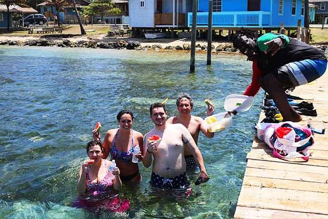 Roatan 1 Tank Shore Dive, Sloth & Monkey Park, City Tour Plus Transportation - Exceptional Customer Experiences