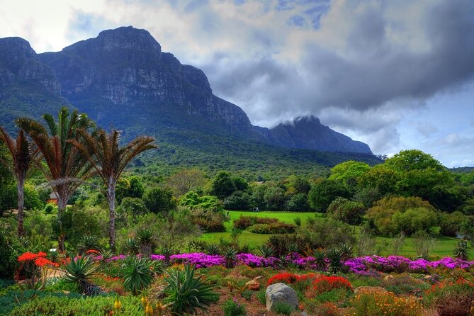 Robben Island ,Kirstenbosch Gardens and Groot Constantia. - Crafting the Perfect Cape Town Itinerary