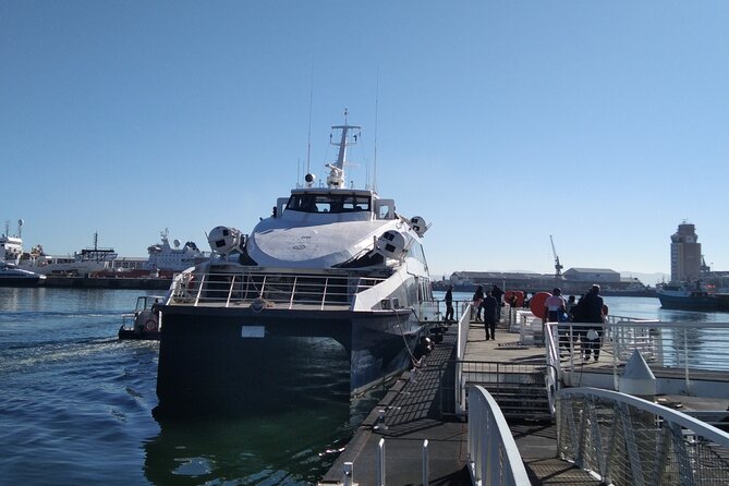 Robben Island Tour Including Pick up & Drop off From Cape Town - Historical Significance of Robben Island