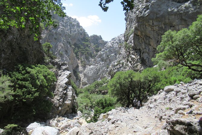 Rouvas Gorge Tour Review: A Scenic Adventure - Traveler Testimonials