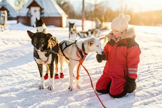 Rovaniemi Santa Claus Village, Reindeer and Husky Tour - The Sum Up