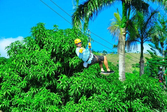 Safari Adventure in Punta Cana - Pricing and Availability