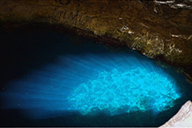Sal Private Tour: All Inclusive Salt Lake, Blue Eye and Shark Bay - Reviews and Customer Feedback
