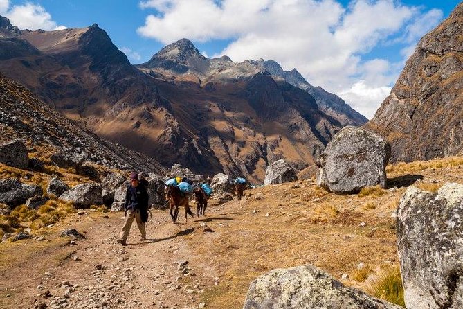 Salkantay Trek to Machu Picchu (5 Days) - Meal Options