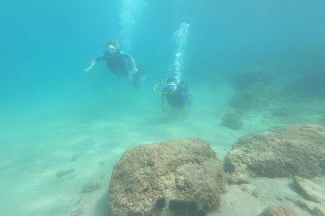 Salou Private Beginner Scuba Diving Course  - Tarragona - Highlights of the Experience