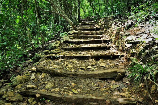 Samaná Whale Watching, Waterfall & Cayo Levantado Adventure - Traditional Dominican Buffet Lunch