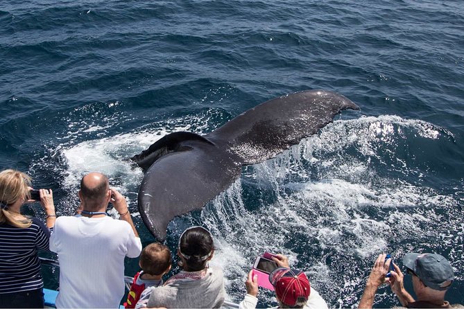 San Diego Explorer Pass: Save up to 50% - Includes San Diego Zoo - Navigating Customer Service Issues