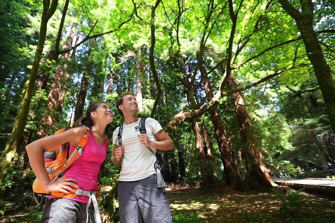 San Francisco: Full Day Coastal Redwoods & Wine Country Tour - Sum Up
