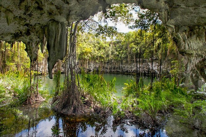 Santo Domingo Tour From Punta Cana - Zona Colonial, Los Tres Ojos - Discovering Los Tres Ojos Park